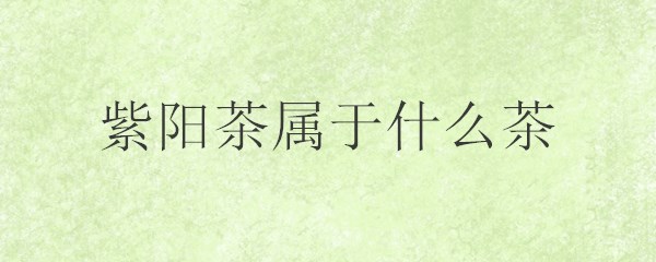 紫阳茶属于什么茶