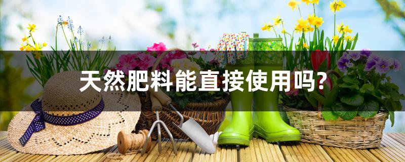 天然肥料能直接使用吗？