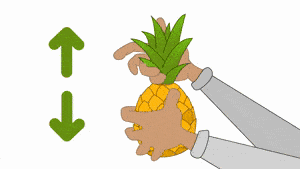 如何种菠萝 教你种菠萝教程