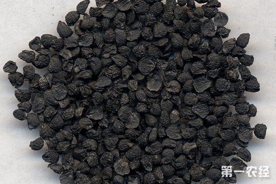 新种子一般表皮光滑、有光泽，鼻闻有其植物本身固有的味道，陈种子则相反。根据以上农作物所需要的新陈种子来判断是否能利用，具体的辨别方法举例如下：