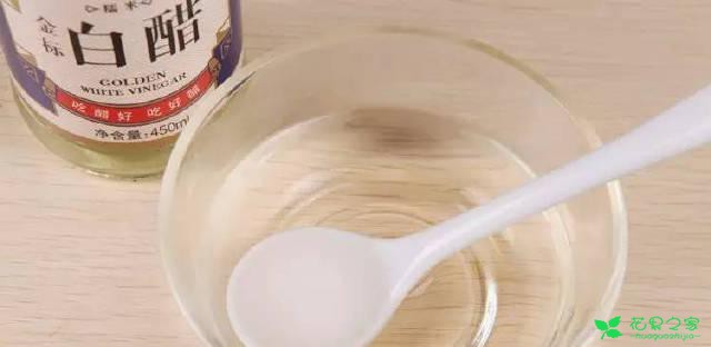 南花北养，用这5个小东西中和盆栽的碱性土壤，分分钟着花爆盆 。。。