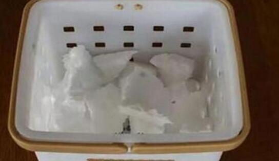 文心兰怎样换盆