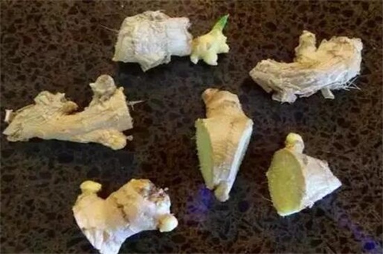 姜怎么种盆栽，六步方法成功种植
