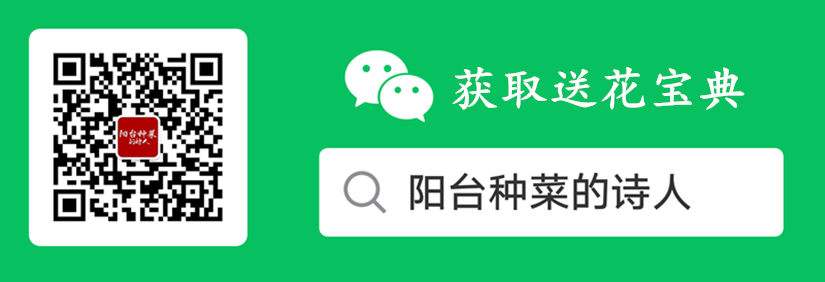 什么水培植物里面可以养鱼