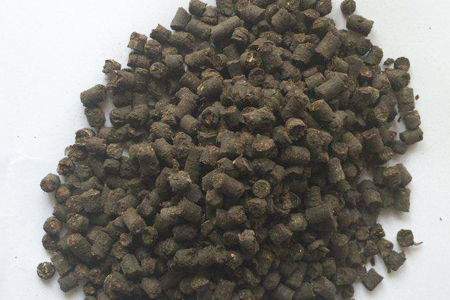 菊花怎么施肥，家庭自制哪种肥适合？