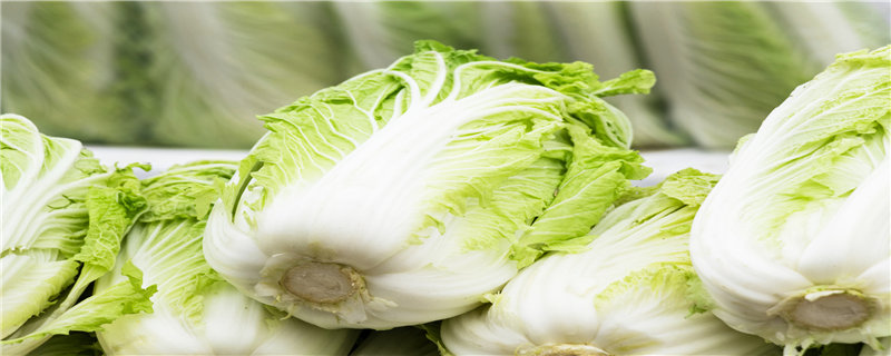 白菜施肥时间和施肥量