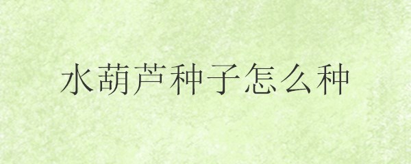 水葫芦种子怎么种
