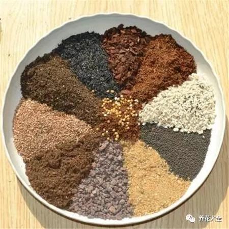多肉烂根、徒长、黑腐…这样做，分分钟救活