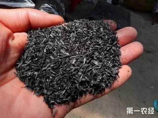 草木灰不仅能当肥料 还能防治病虫害