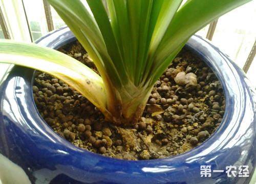 3、合理摆放