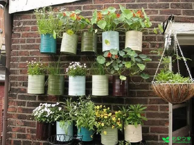 教你怎么给花卉做一个创意小屋