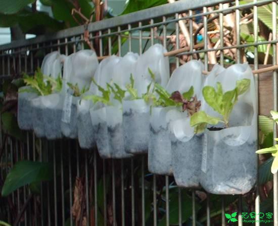 教你怎么给花卉做一个创意小屋