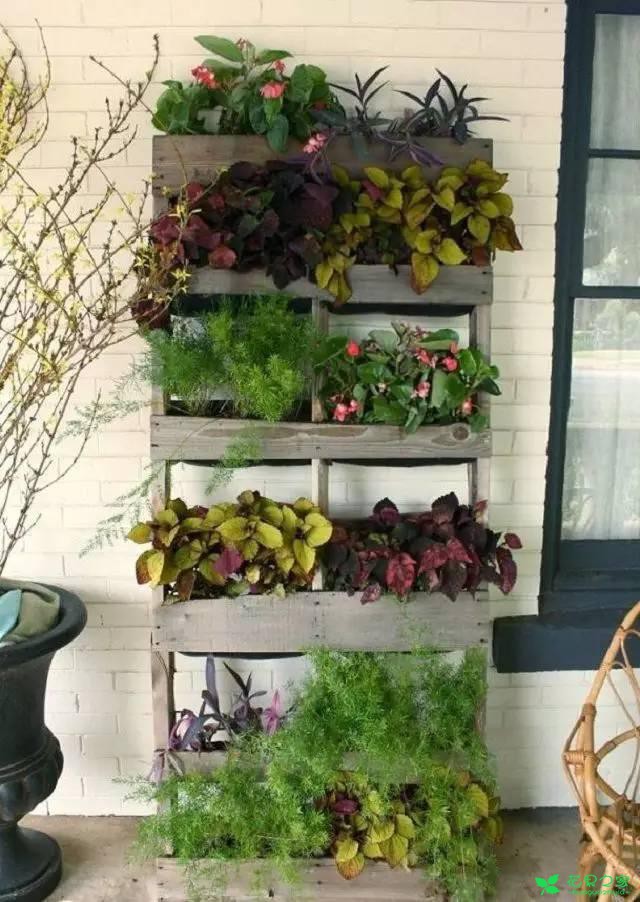 教你怎么给花卉做一个创意小屋