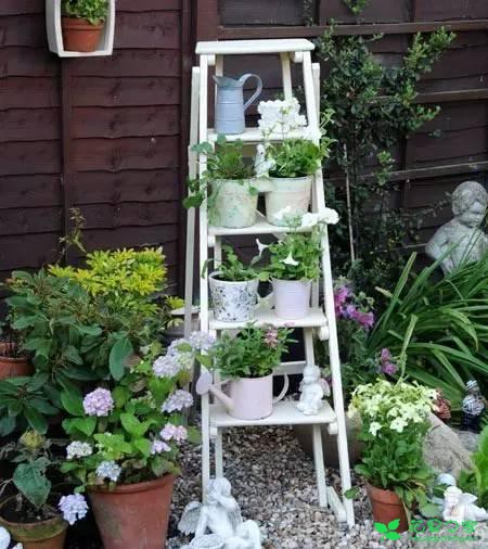 教你怎么给花卉做一个创意小屋
