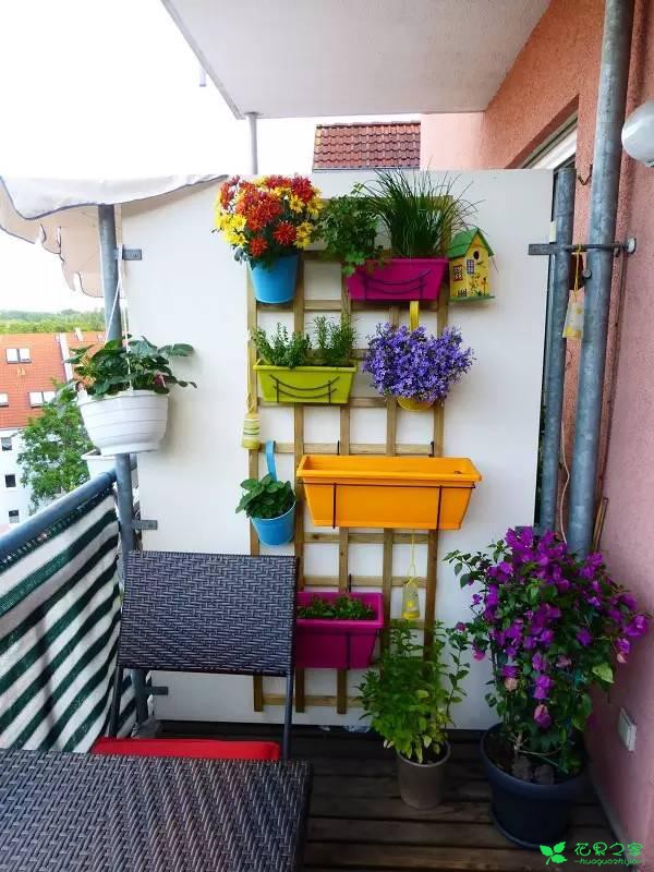 教你怎么给花卉做一个创意小屋