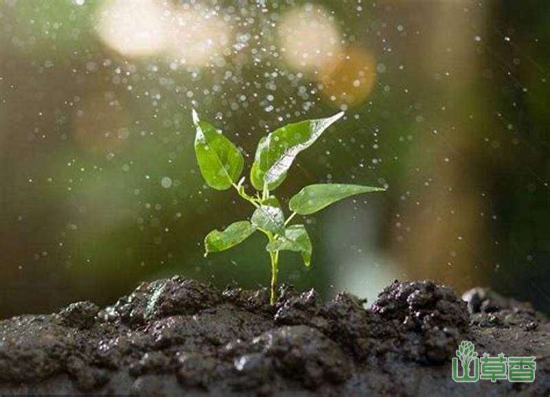  根据土壤特性来种植——不同土壤的特征及适合种植的植物  