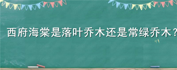 西府海棠是落叶乔木还是常绿乔木？