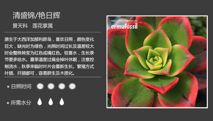 100种常见多肉植物图鉴及养殖方法