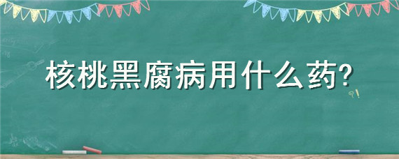 核桃黑腐病用什么药