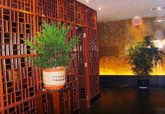 秋枫树桩盆景种养方法