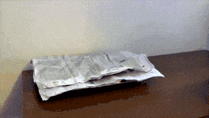 种南瓜教程图解 怎样种南瓜