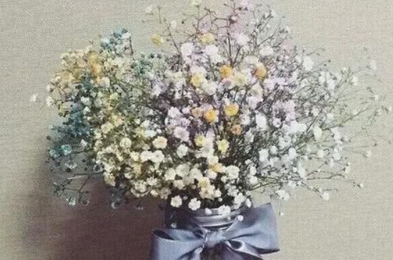 满天星花束可以存放多久(花店包好的花束上喷的什么水)