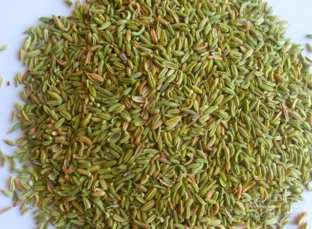 小茴香图片    小茴香生长环境、营养、药用价值