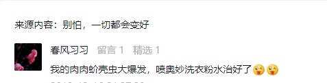 惊！比酒精还省事？洗衣粉可以杀蚧壳虫？