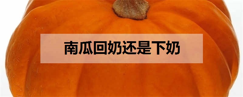 南瓜回奶还是下奶 南瓜有什么作用