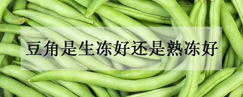 豆角生冻好还是熟冻好 哪种方法口感更好