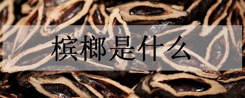 槟榔是什么 常有什么危害