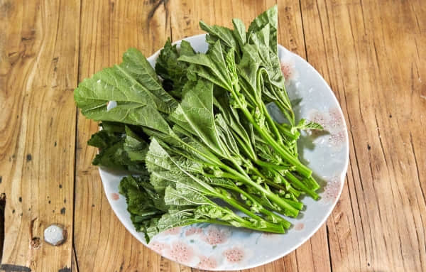 冬寒菜长什么样？冬寒菜高清大图欣赏！