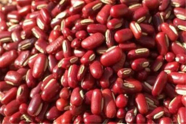 赤小豆的功效与作用 食用禁忌