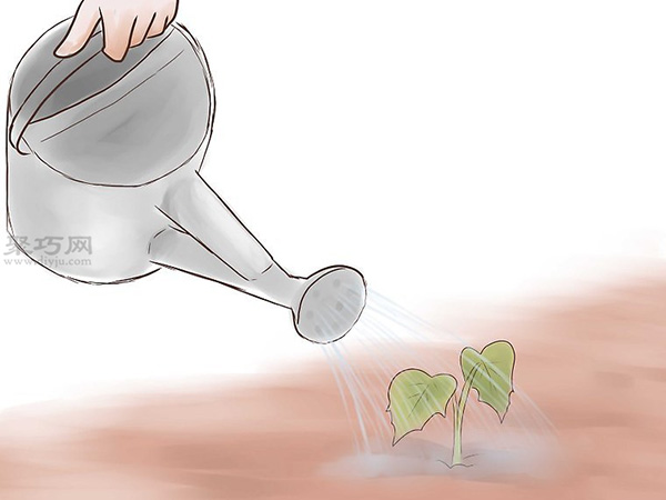 如何种植红薯 教你种植红薯教程