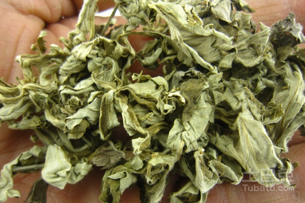 红陈艾图片及功效作用详细分析