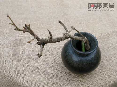 插瓶花时太短的花枝怎么插