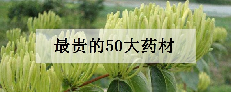 最贵的50大药材 哪些药材比黄金还贵