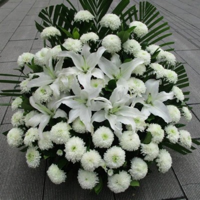 白菊花图片祭奠图片