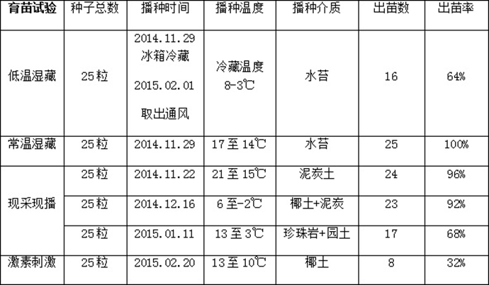 鸡爪槭的播种方法,其实并不难