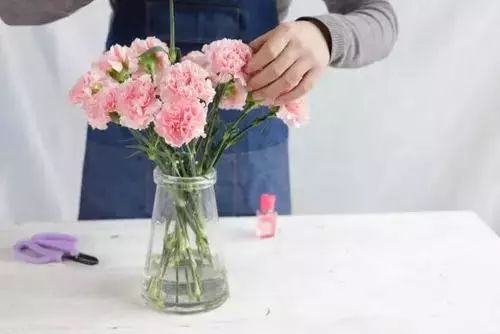 康乃馨怎么醒花？康乃馨的养护知识