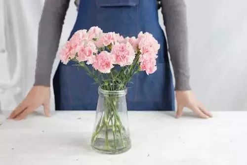 康乃馨怎么醒花？康乃馨的养护知识