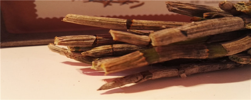 石斛与石斛花的功效区别