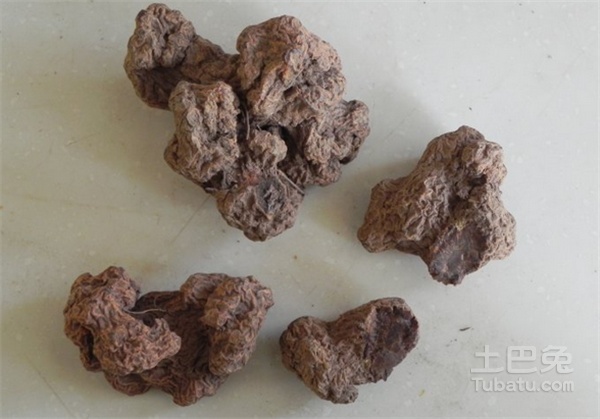 朱砂莲图片介绍，难得的稀有名贵药材