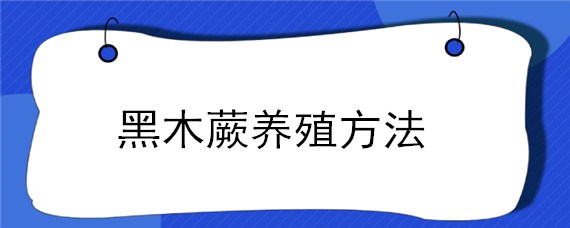 黑木蕨养殖方法