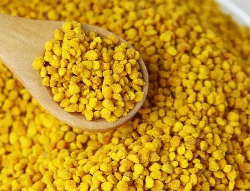 现在蜂花粉多少钱一斤？2018年蜂花粉价格会涨吗？