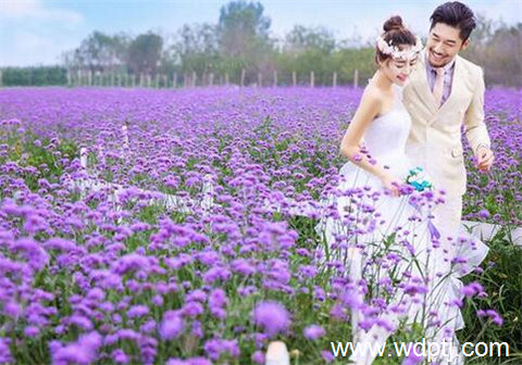 在这里拍婚纱照才最般配