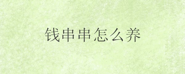 钱串串怎么养