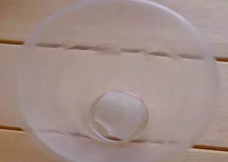 矾根如何繁殖-矾根叶插繁殖方法