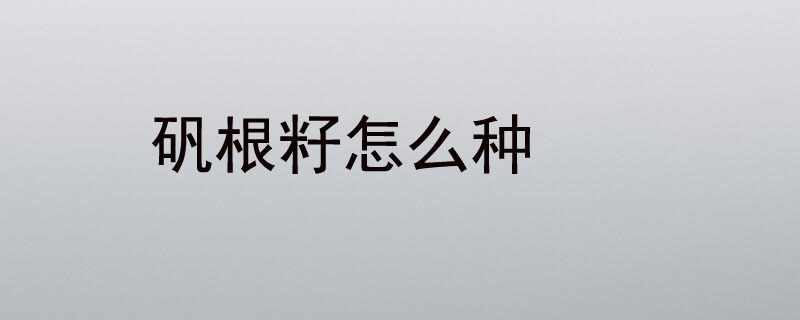 矾根籽怎么种