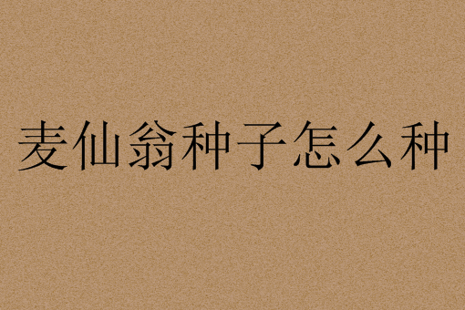麦仙翁种子怎么种